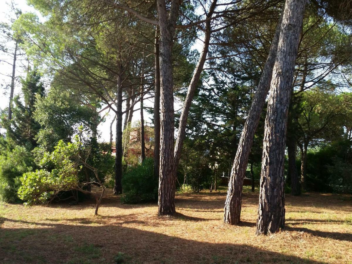 Villa Fabiola Fogas de Tordera ภายนอก รูปภาพ