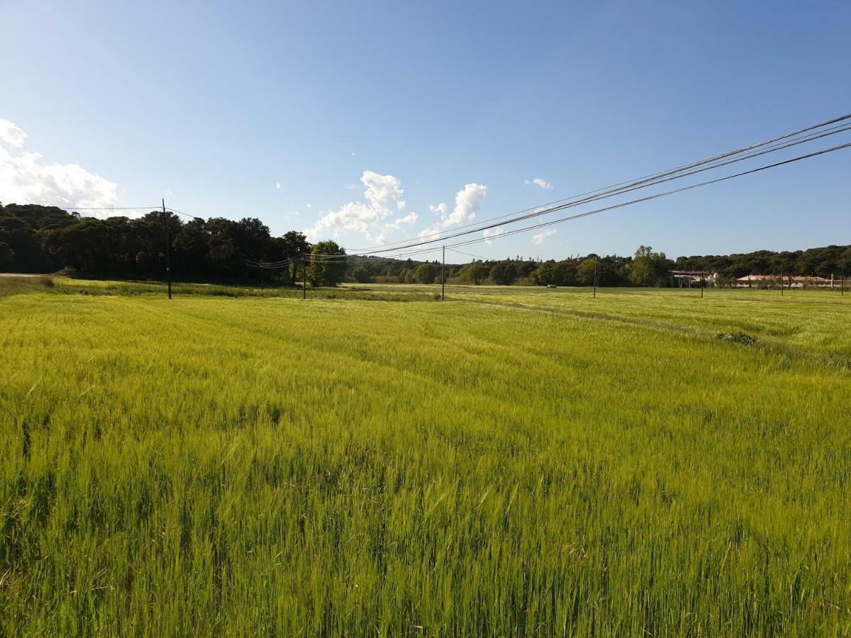 Villa Fabiola Fogas de Tordera ภายนอก รูปภาพ